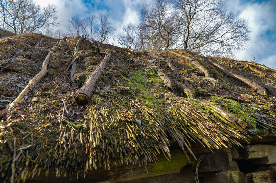 Деревня затопленная Припятью-10.JPG