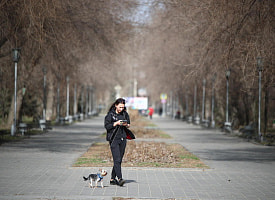 Март берет курс на тепло: в Беларуси на неделе до +16, но к выходным придут дожди