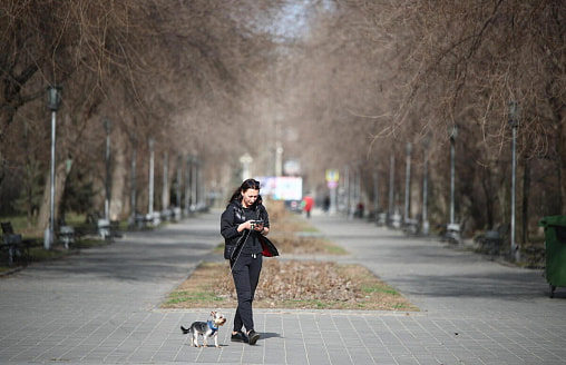 Март берет курс на тепло: в Беларуси на неделе до +16, но к выходным придут дожди