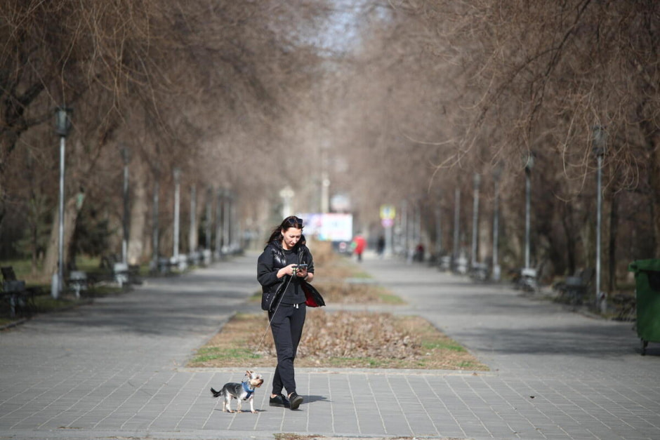 теплая весна