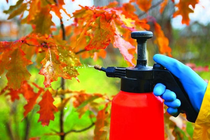 химия.jpg химия.jpg