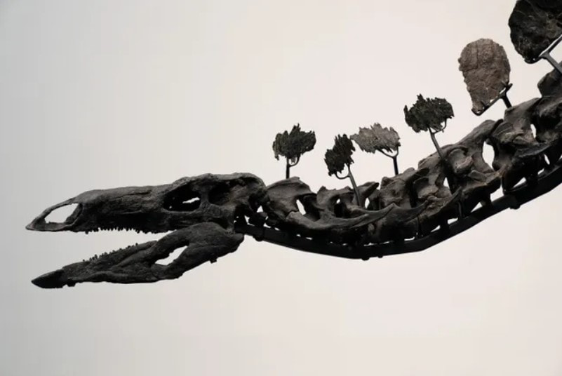 Динозавтра продали .jpg