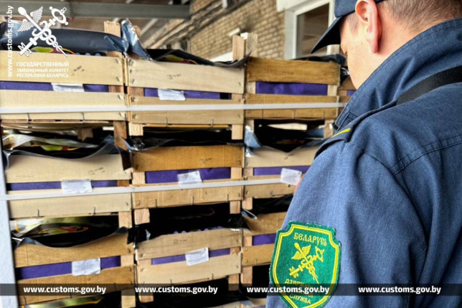 Таможенники преследовали фуру с 20 тоннами груш — водитель игнорировал сигнал об остановке.jpg