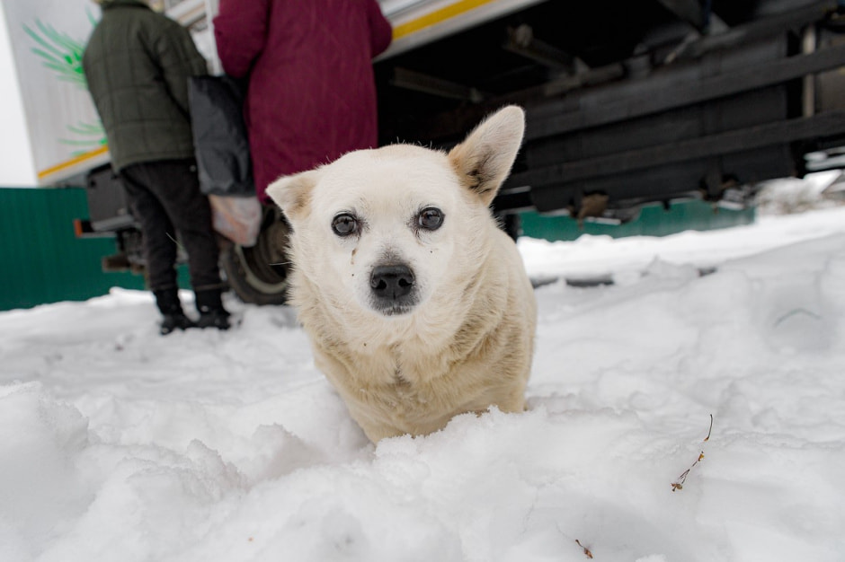 Автолавка в Глусском районе 13.jpg Автолавка в Глусском районе 13.jpg