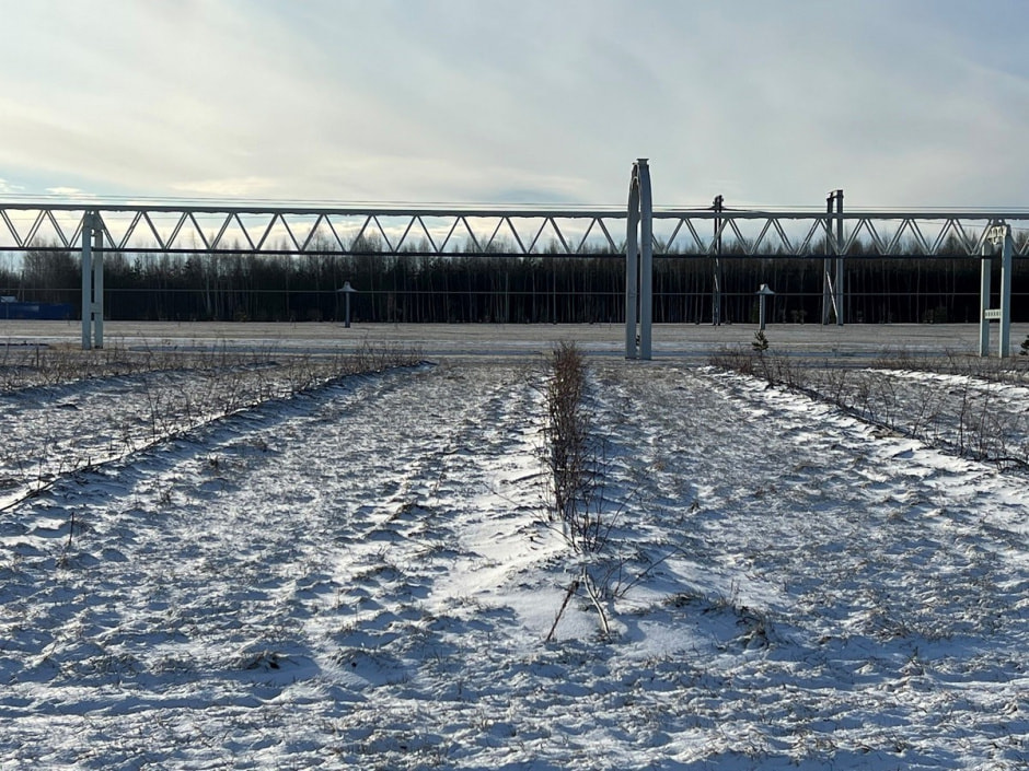 Экопарк Акварель 5.jpg