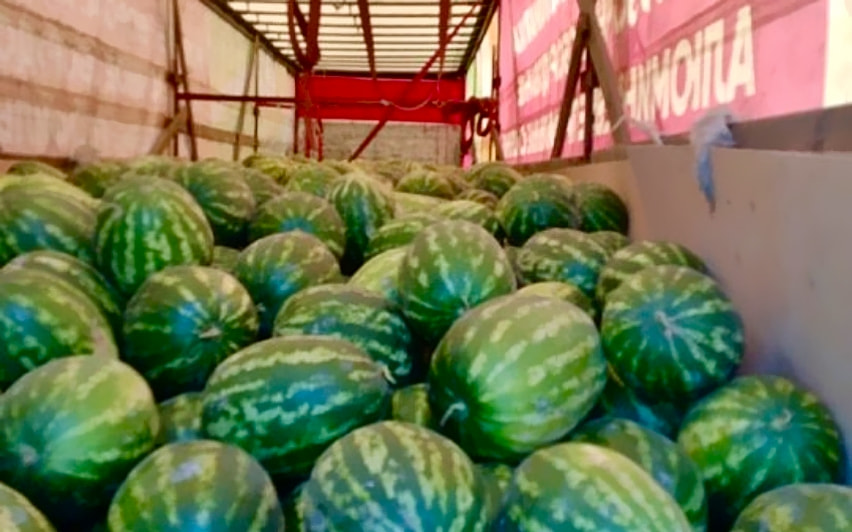 Арбузы не пустили