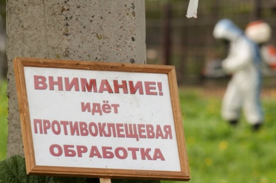 Как бороться с клещами на даче 3.jpg Как бороться с клещами на даче 3.jpg