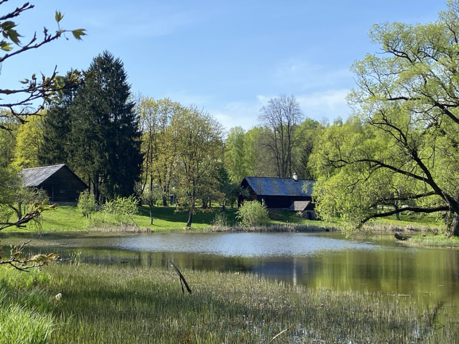 вязынка дом купалы. фото смартпресс