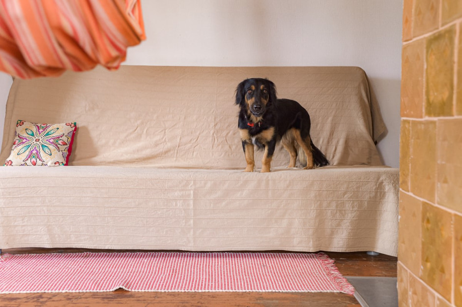 Репетитор в деревне 18.jpg