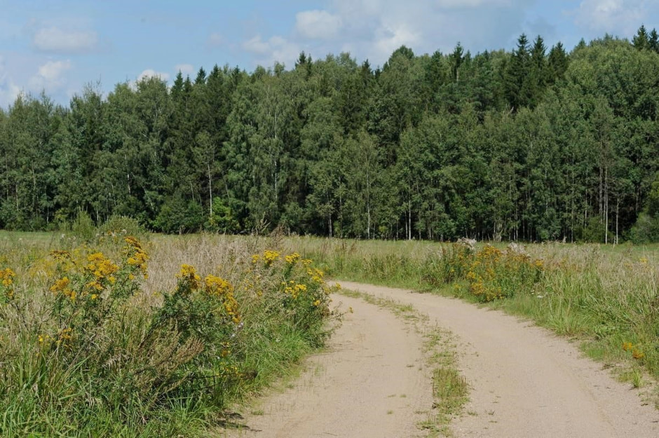 Долгожители из деревни Куты 3.jpg