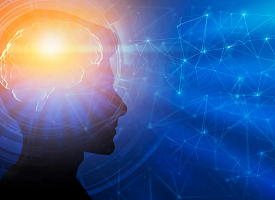 До какого возраста развивается наш мозг? Ученые опровергли миф о 25 годах