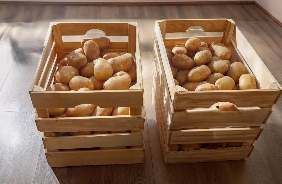 photo_2025-11-29_11-11-36 (2).jpg