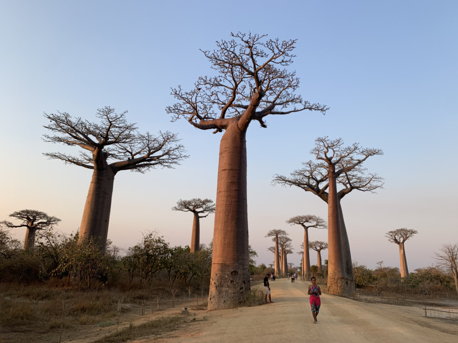 Мадагаскар (31).jpeg Мадагаскар (31).jpeg