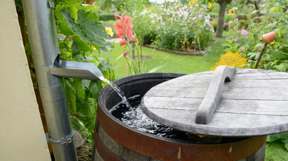 Сбор воды на даче.jpg