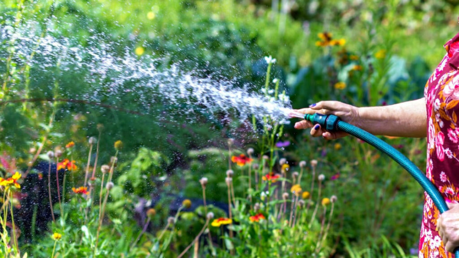 Полив в жару