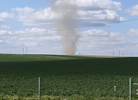 “Пылевой дьявол” в Столбцовском районе: нагретый воздух поднял песок в столб