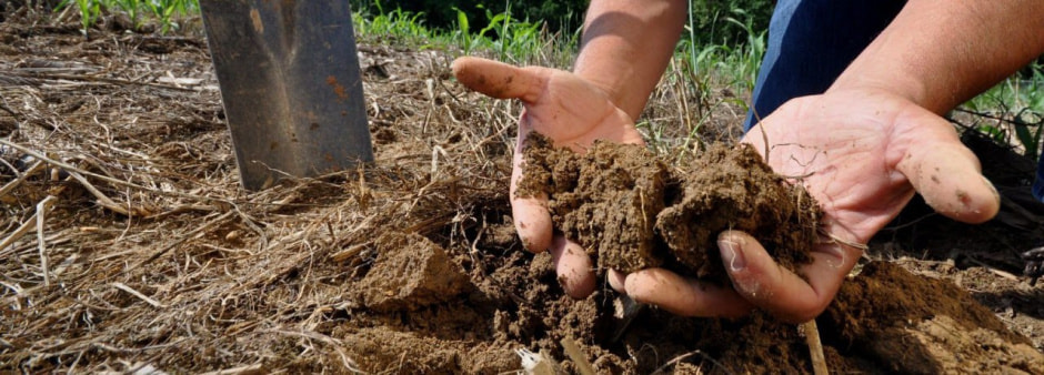 земля, почва.jpg