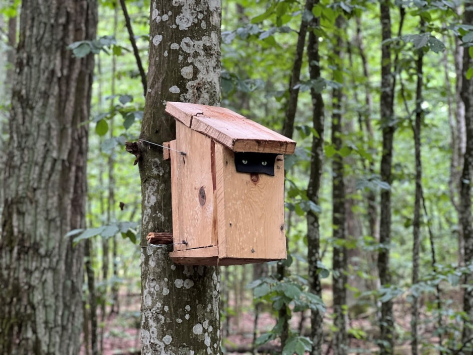 Экспедиция сони 12.jpg Экспедиция сони 12.jpg