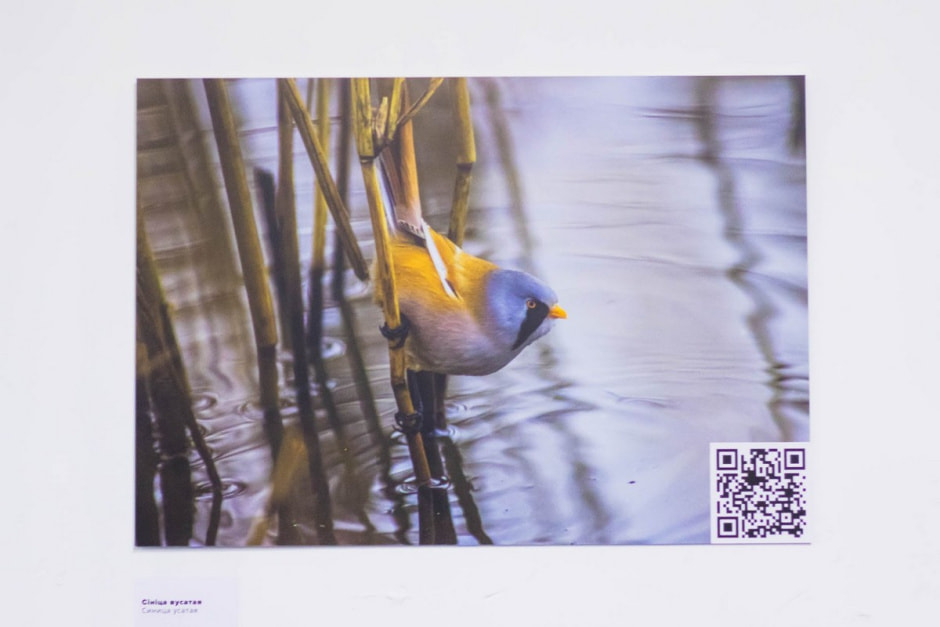 Посетители на выставке птиц 5.jpg