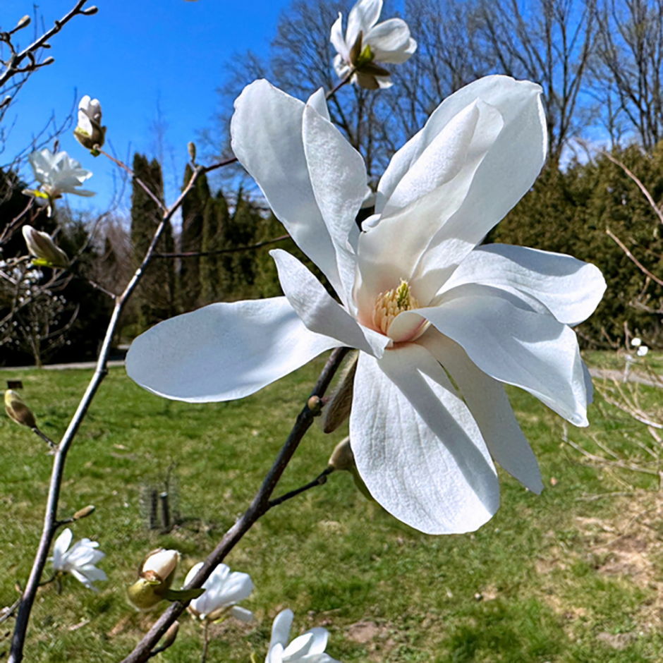 Прогулка по Ботаническому саду 25.png