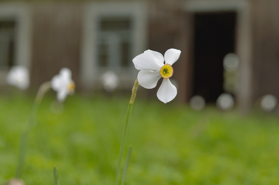 Белоруска в Шеметово 19.png