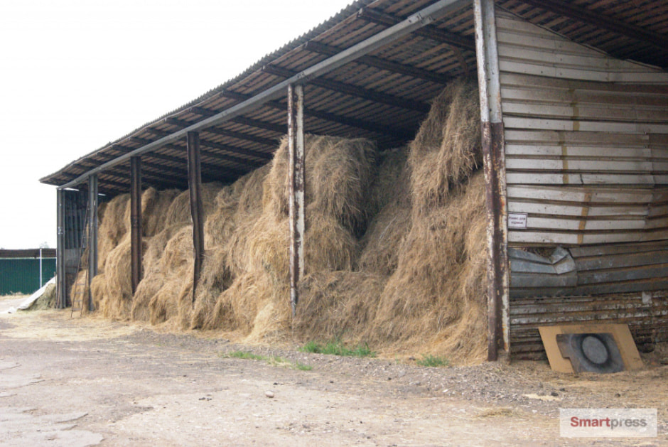 DSC07177.jpg DSC07177.jpg