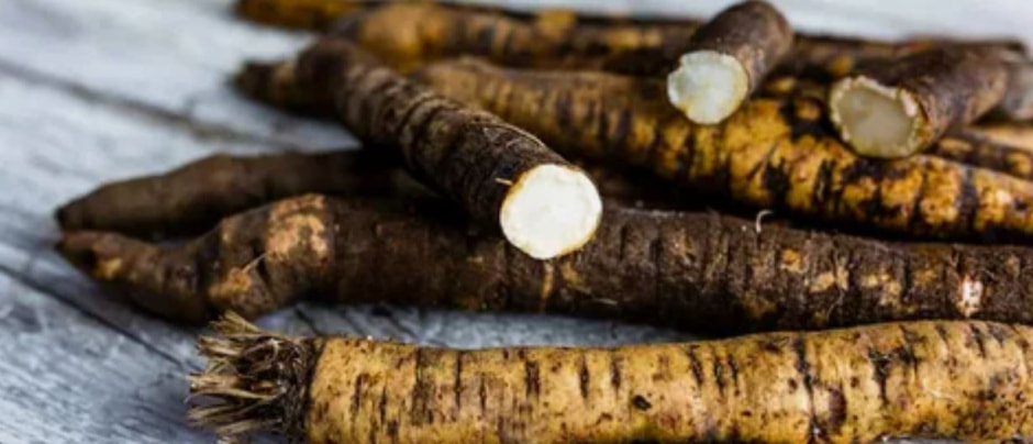 Скорцонера