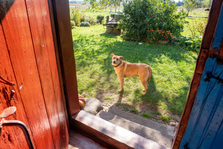 Парень ищет жену в деревне 9.jpg