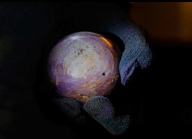 На Шри-Ланке показали гигантский сапфир ценой в сотни миллионов долларов