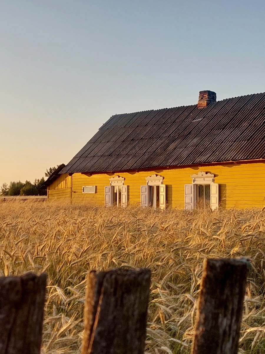 Лето в деревне 16.jpg