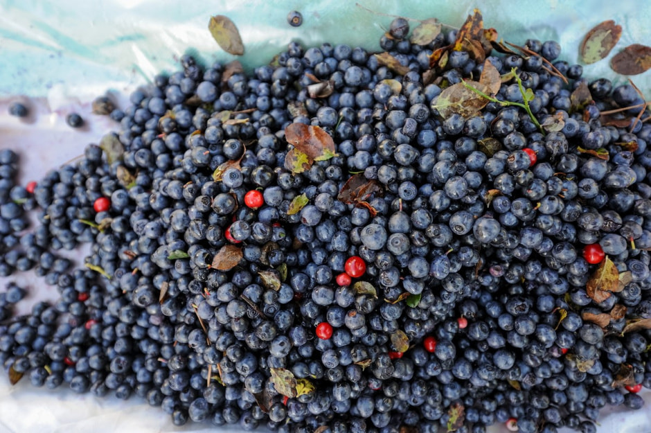 Деревня Глядовичи 22.jpg