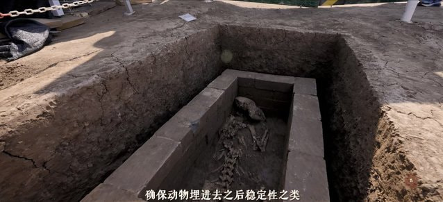 Скелет панды.jpg