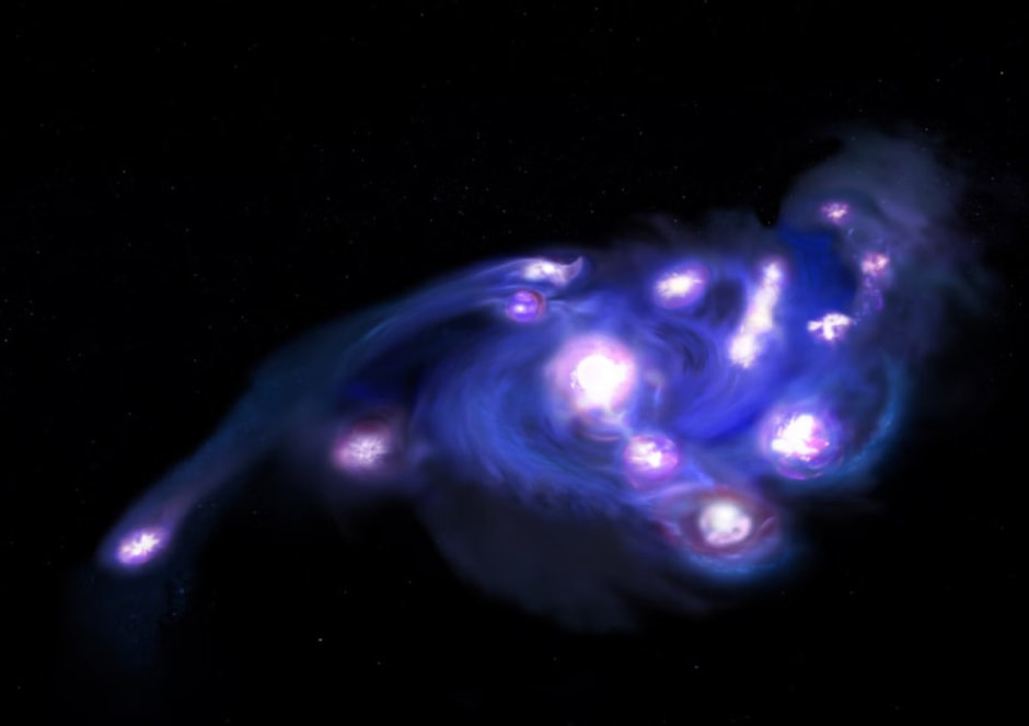 Космический виноград