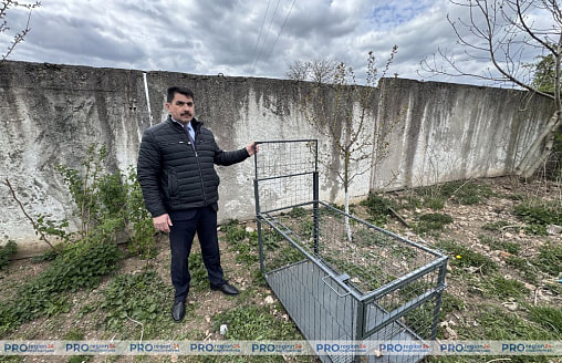 Бродячие собаки пугают деревни под Гродно. Теперь животных будут заманивать в ловушки