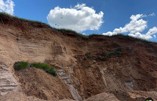 Белоруска возмутилась уничтожением гнезд ласточек под Минском. Инспекция выезжала на место