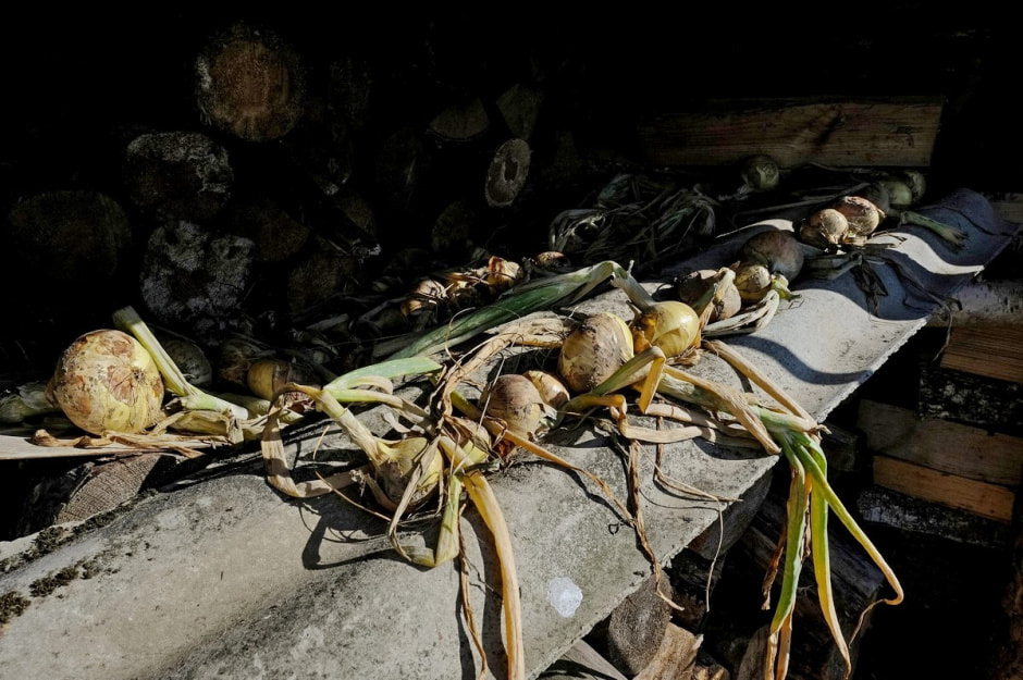 Деревня Глядовичи 19.jpg