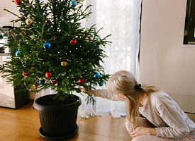 Как ухаживать за елкой в кадке: подробный гид, который продлит ей жизнь