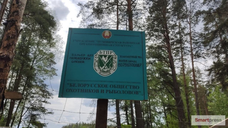 боор.jpg боор.jpg