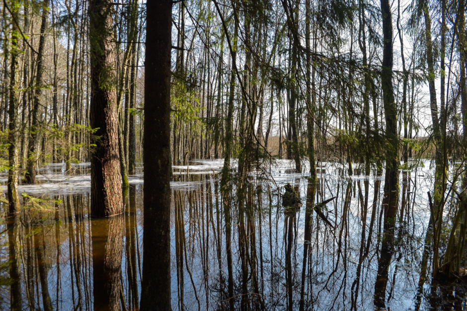 Прогулка с орнитологом 13.png
