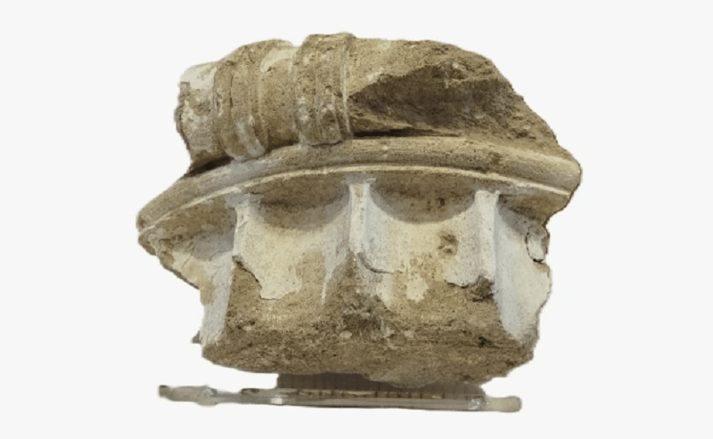 фрагмент колонны.png