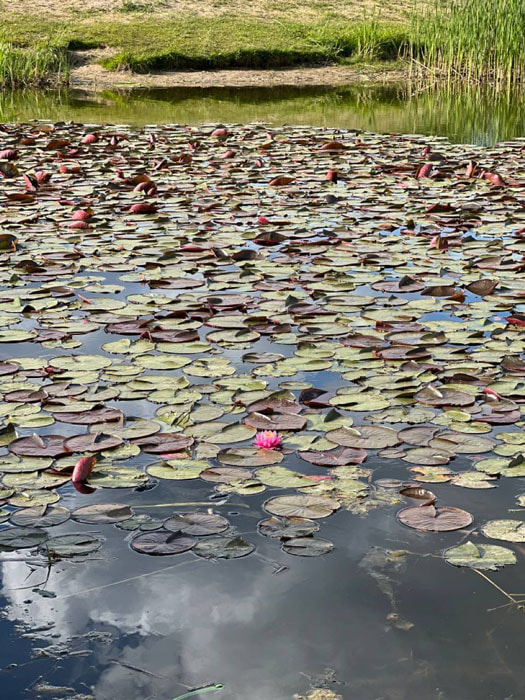 kyvsh2-1.jpg kyvsh2-1.jpg