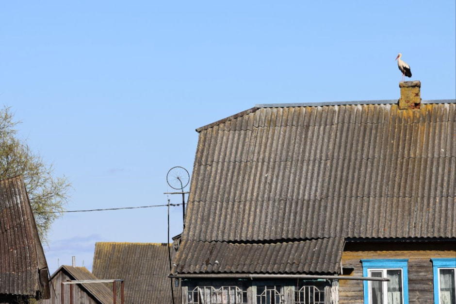 Аисты в деревне Малешев 27.jpg