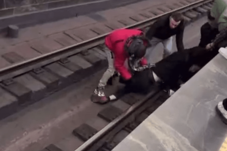 упал.png упал.png