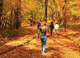 Вернется бабье лето? Антициклон с Азорских островов прогреет Беларусь в ноябре