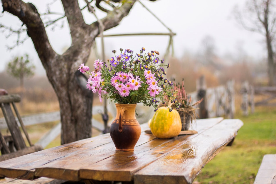 Агроусадьба Букашкин дом 17.jpg