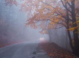 Белгидромет выписал оранжевый уровень опасности почти для всех областей Беларуси. Прогноз погоды на 11 ноября