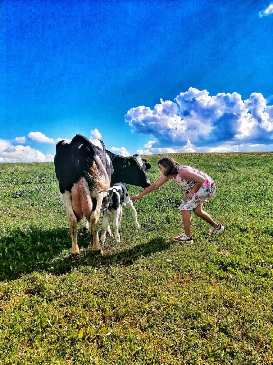 Фермеры Хлев и сыр 6.jpg