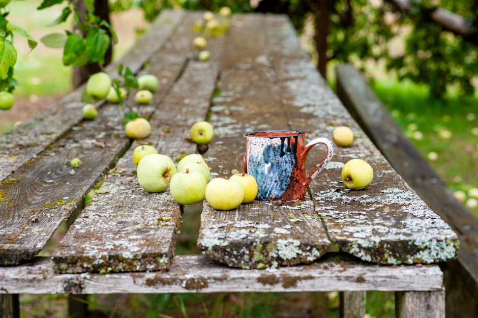 Что нужно успеть сделать в августе с деревне 9.jpg