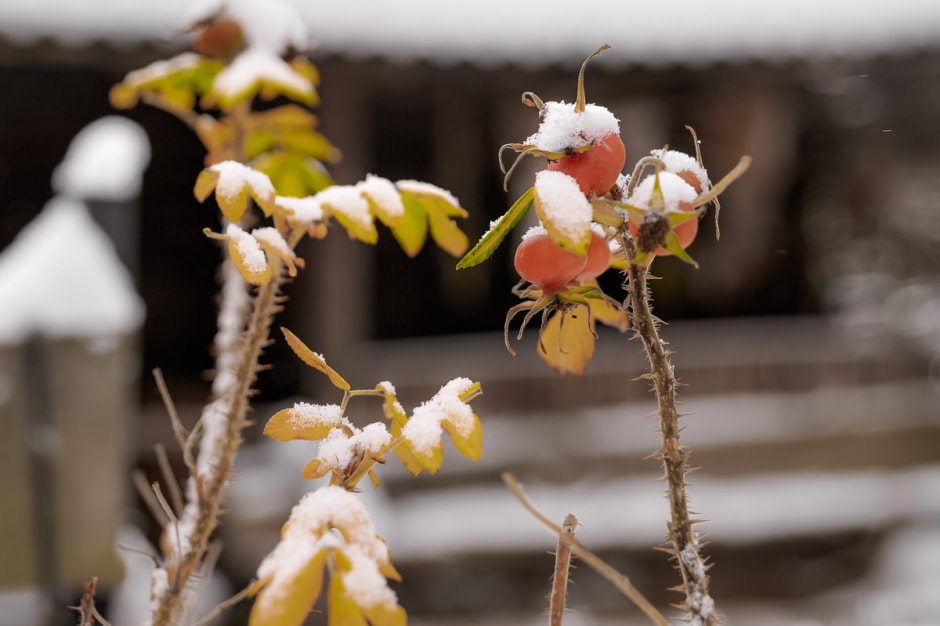 Хутор Скрабатуны 22.jpg