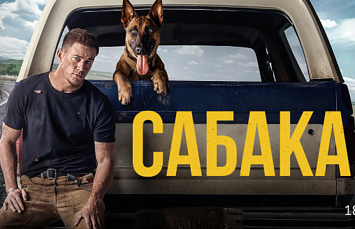 Кіно па-беларуску: анлайн-кінатэатр VOKA ад А1 выпусціў пяць знакамітых стужак у новай агучцы